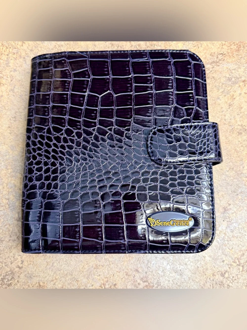 Senegence makeup case and brushes